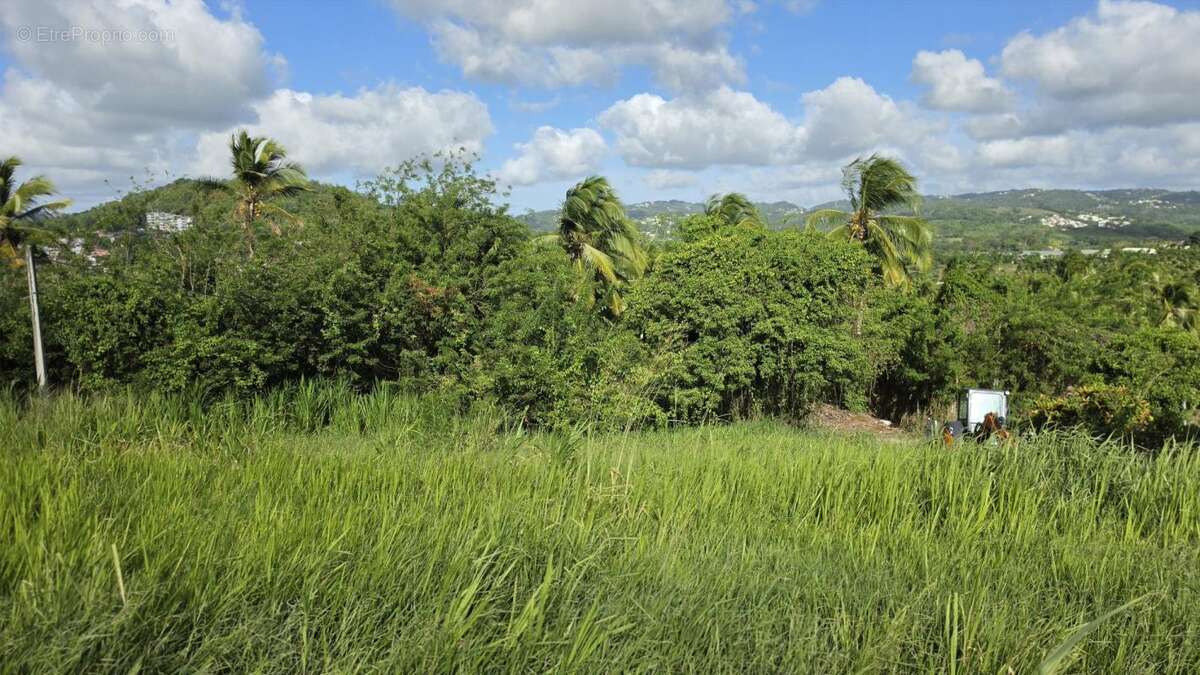 Terrain à DUCOS