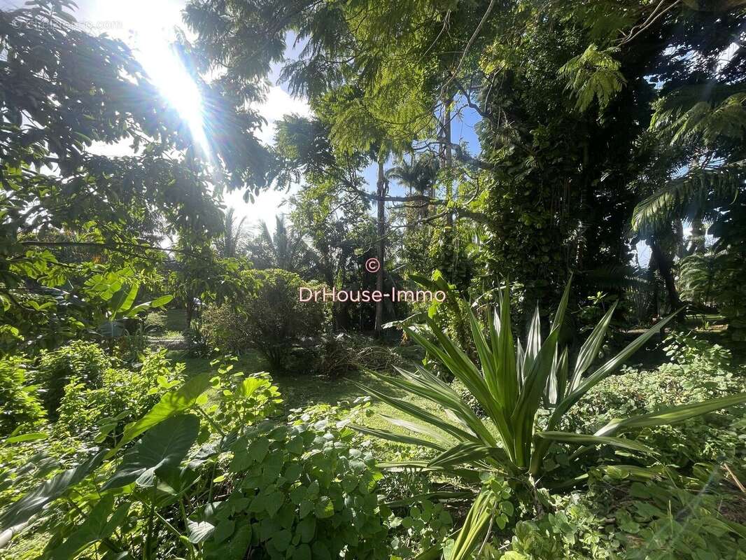 Maison à BOUILLANTE