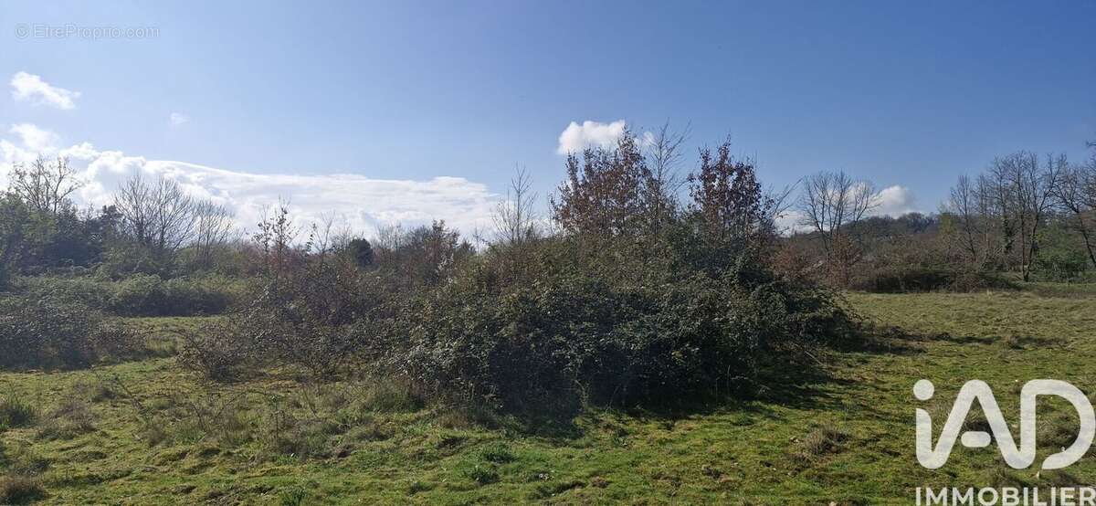 Photo 4 - Terrain à MONTCARET