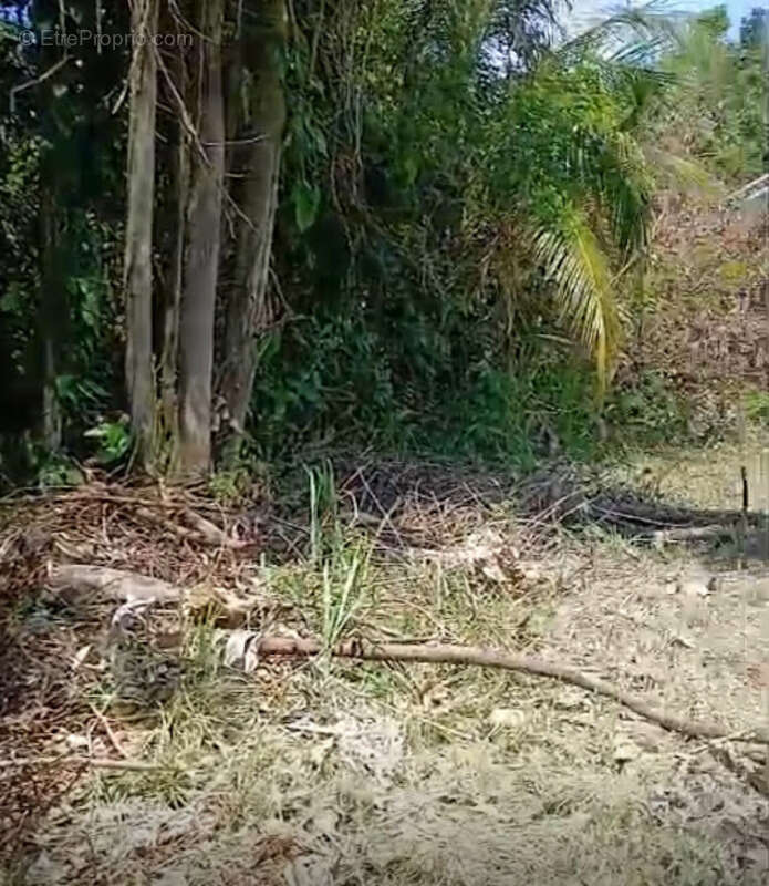 Maison à REMIRE-MONTJOLY