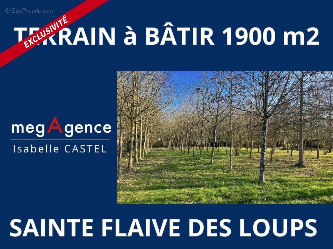 Terrain à SAINTE-FLAIVE-DES-LOUPS