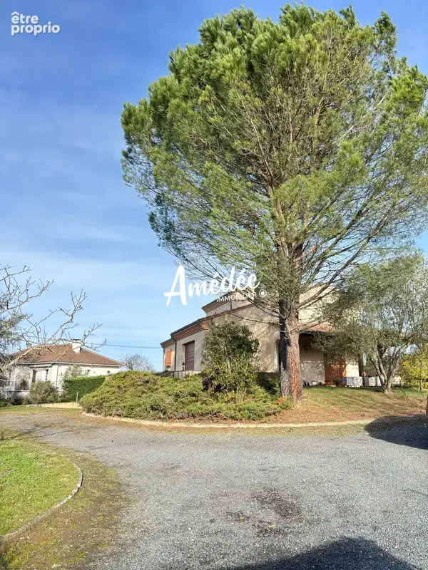 Maison 6 pièces 193 m² à vendre à Albi (81000) - photo 4