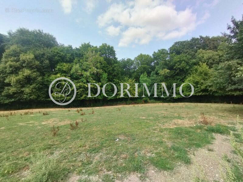 RARE Propriété équestre à fort potentiel avec pâture et carrière ! - photo 20