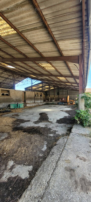 Commerce à CRUZILLES-LES-MEPILLAT