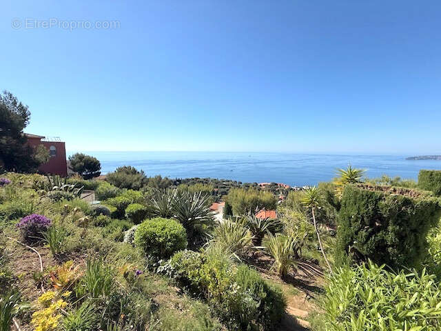 Appartement à CAP-D'AIL