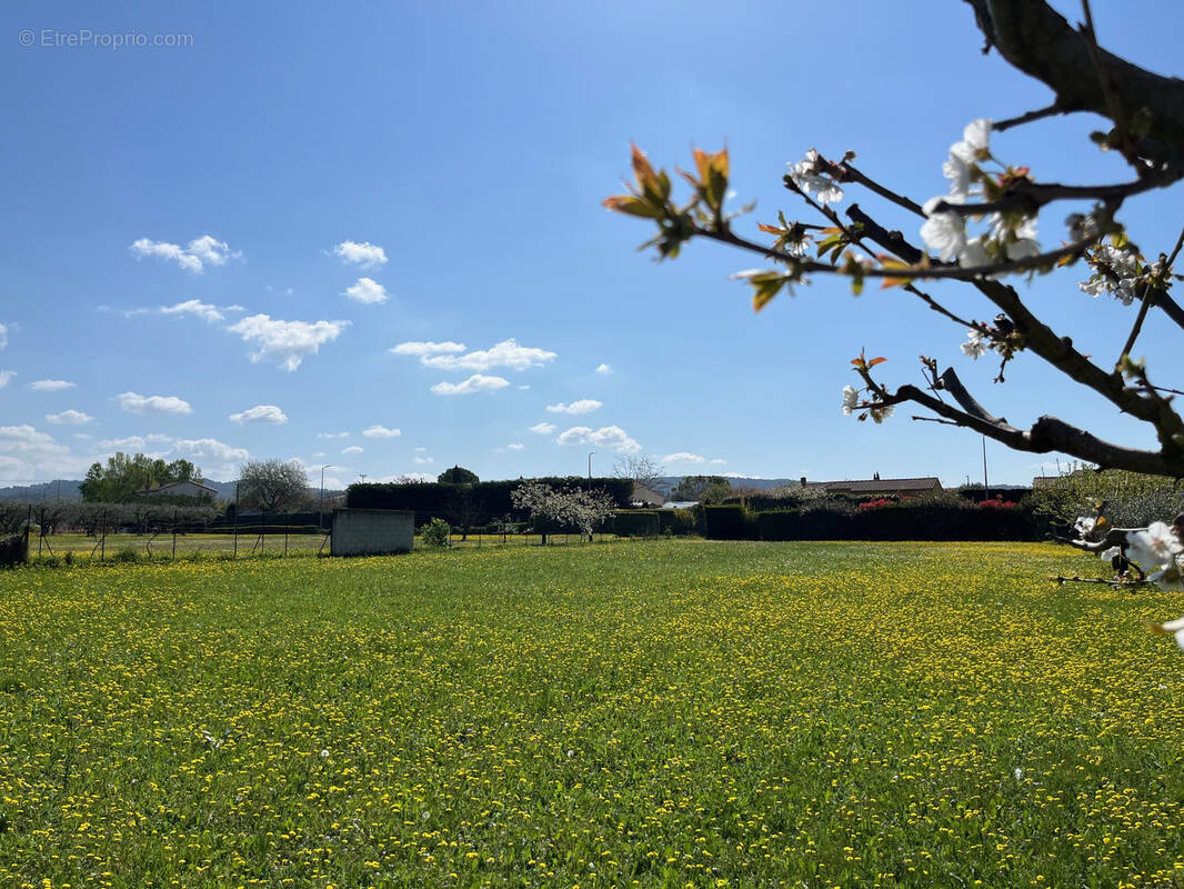 Terrain à PERNES-LES-FONTAINES