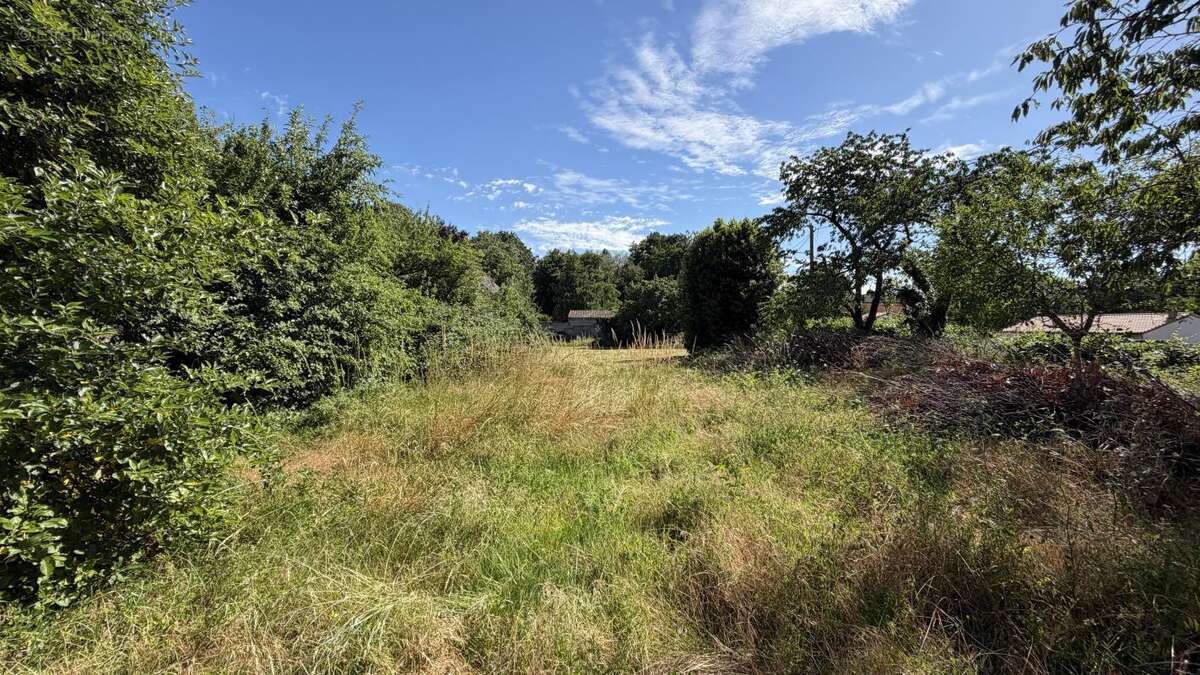Terrain à AZAY-LE-BRULE