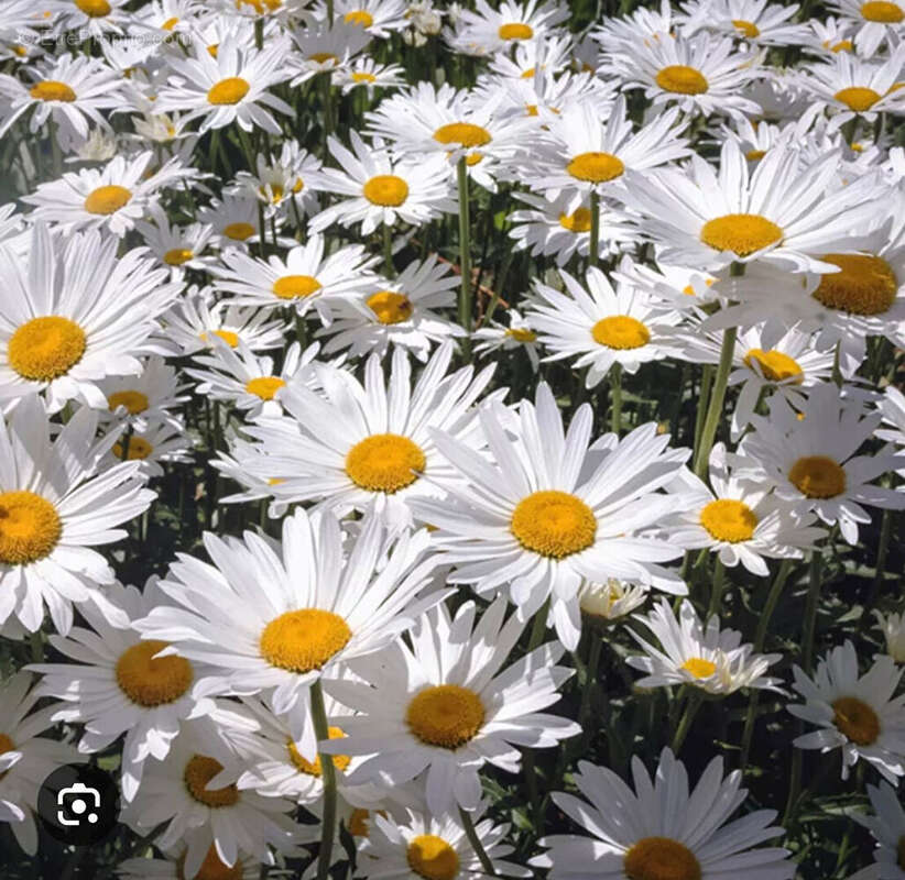 Terrain à NANTEUIL-LES-MEAUX