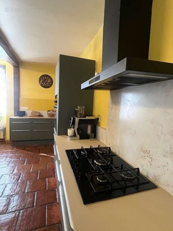 PLAISANCE (32): SANS TRAVAUX, MAISON XVIIIs restaurée avec élégance SUR 240M2 habitables, 6600m2 de jardin,géothermie,  puits, g - photo 21