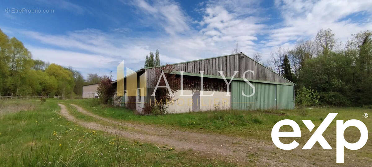 Commerce à RADEPONT