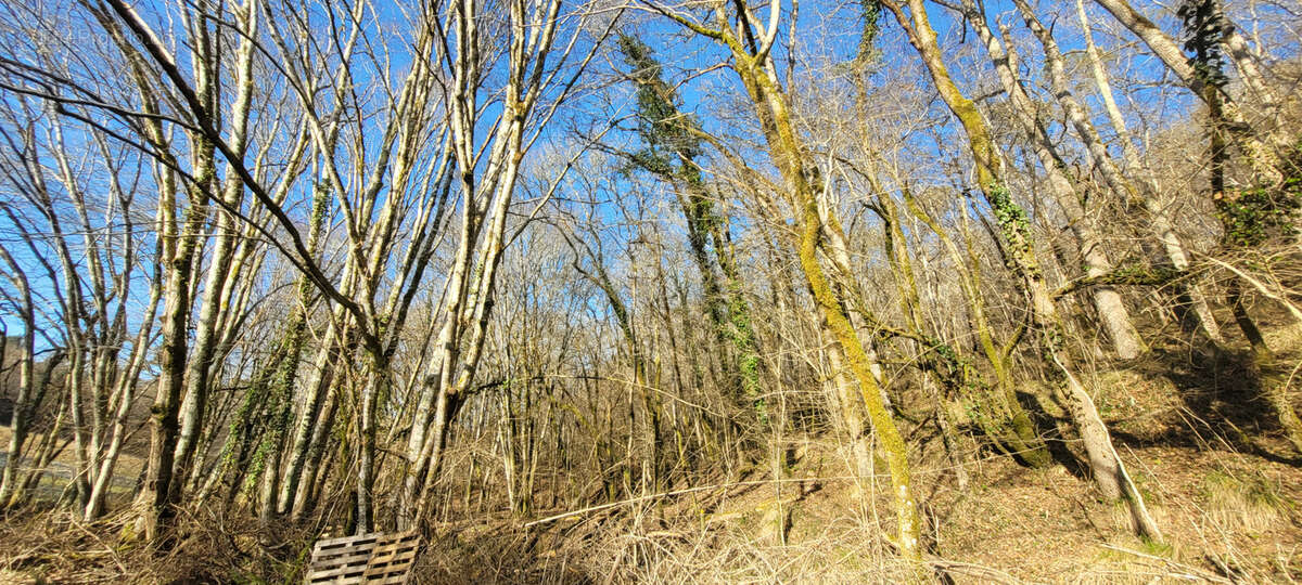 Terrain à CHATEAU-L&#039;EVEQUE