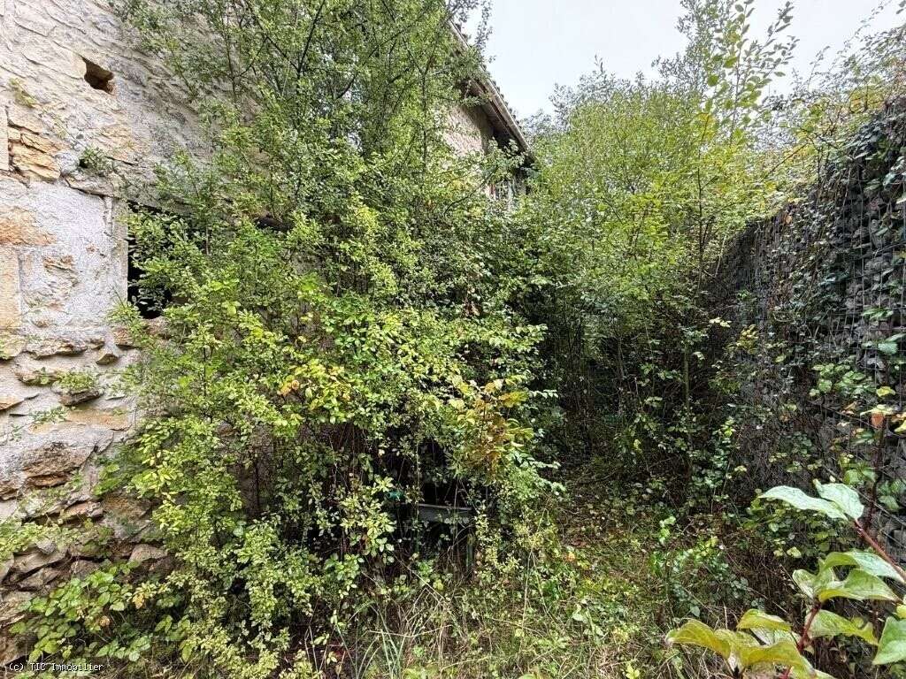 Maison à VERTEUIL-SUR-CHARENTE