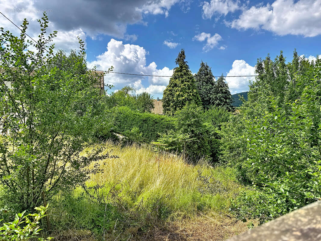 Ensemble immobilier de 76m2 habitables + 91 m2 supplémentaires de potentiel sur un terrain de 8,71 ares - photo 10