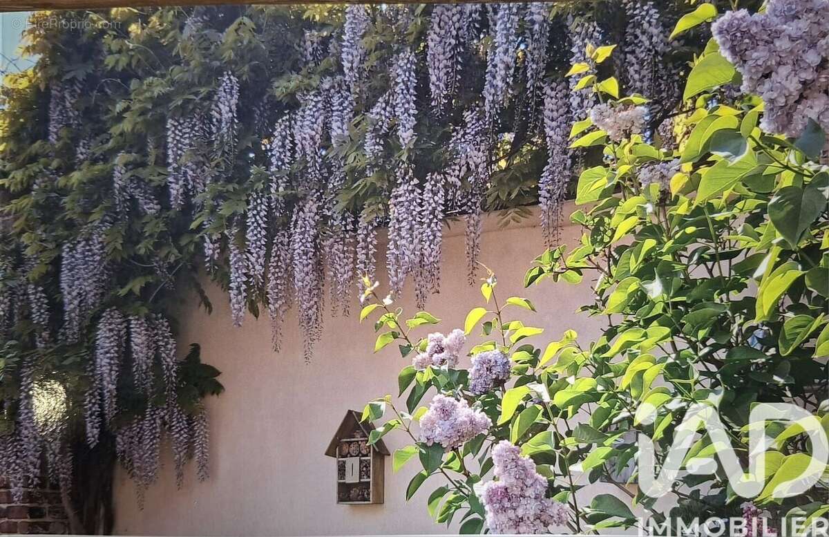 Photo 3 - Maison à LAMBERSART