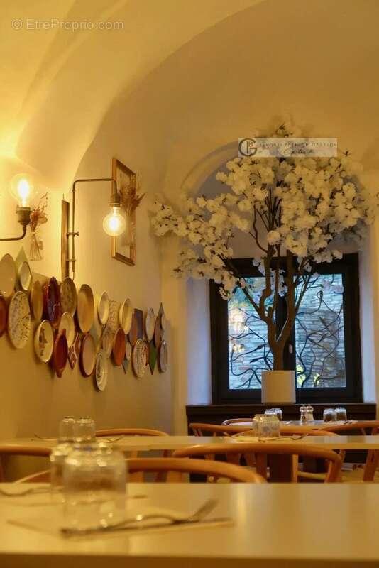 Commerce à SAN-MARTINO-DI-LOTA