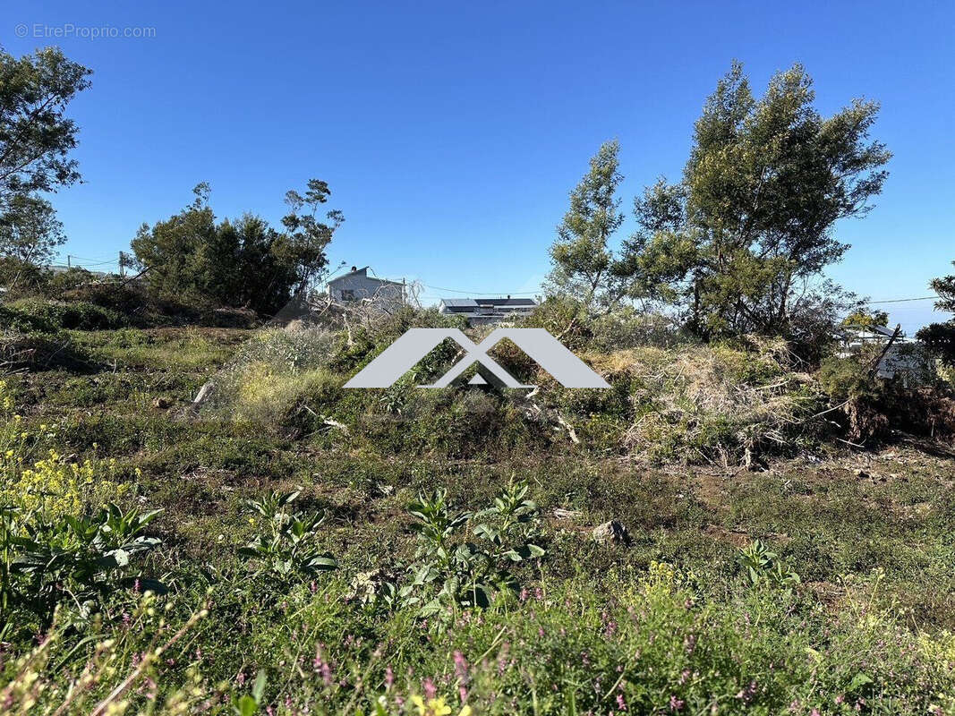 Terrain à SAINT-PIERRE