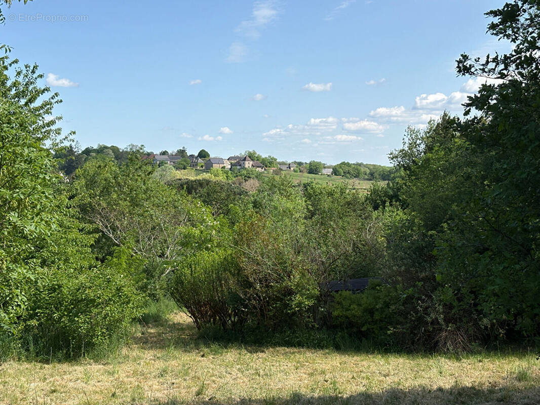 Terrain à LA DORNAC