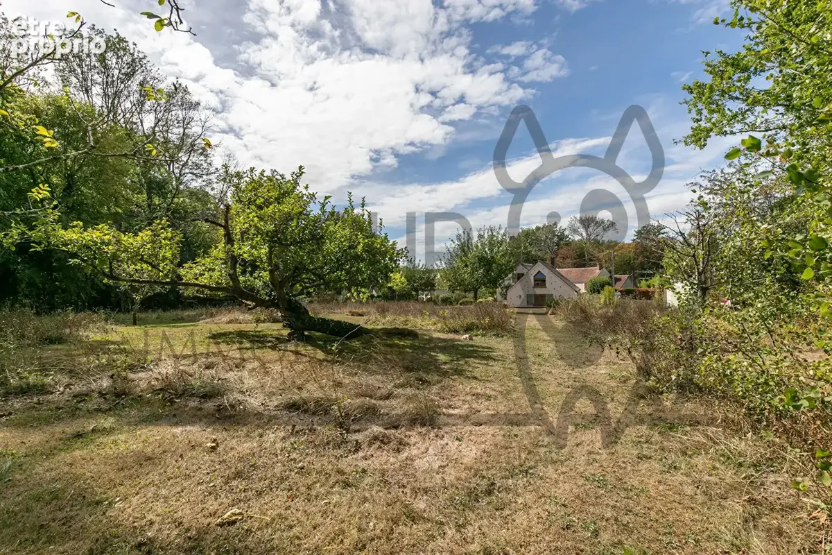 Maison briarde Saint Augustin - photo 16