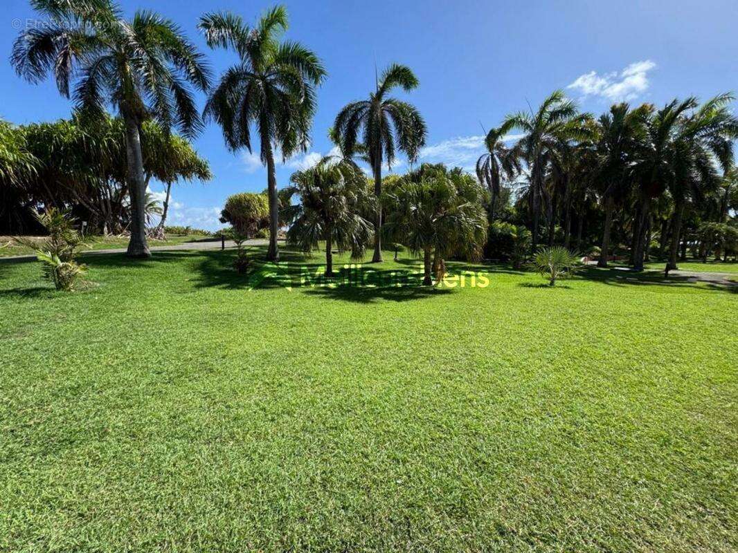 Appartement à SAINT-FRANCOIS