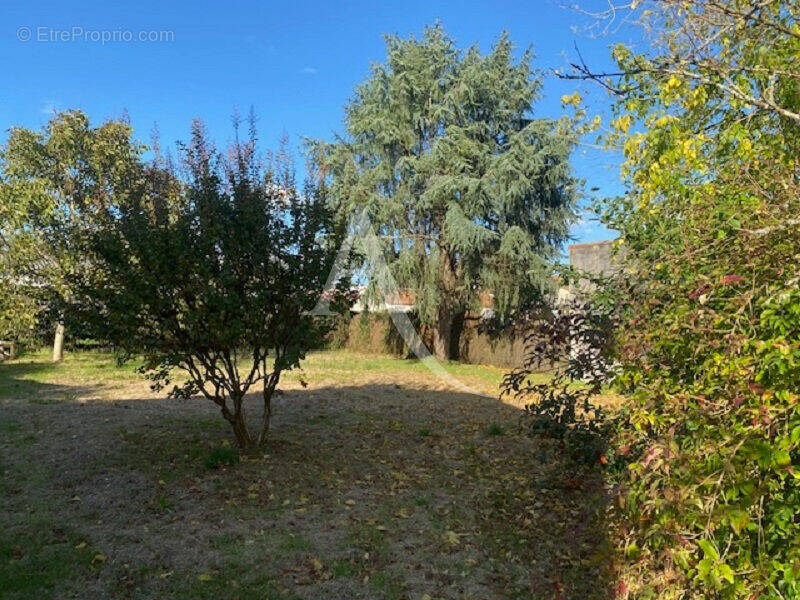 Terrain à LA ROCHE-SUR-YON