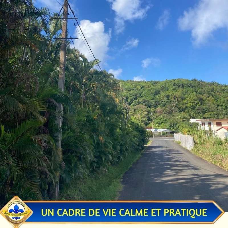 Terrain à SAINTE-ROSE