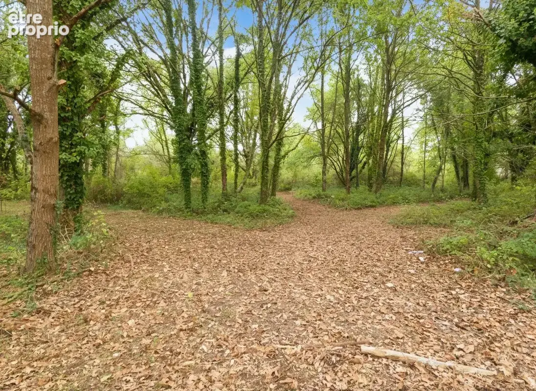 Maison 7 pièces 120 m² à vendre à Ouzouer-Sur-Loire (45570) - photo 8