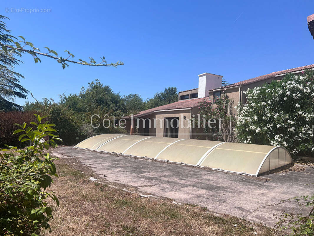 Chauve- campagne - photo 2