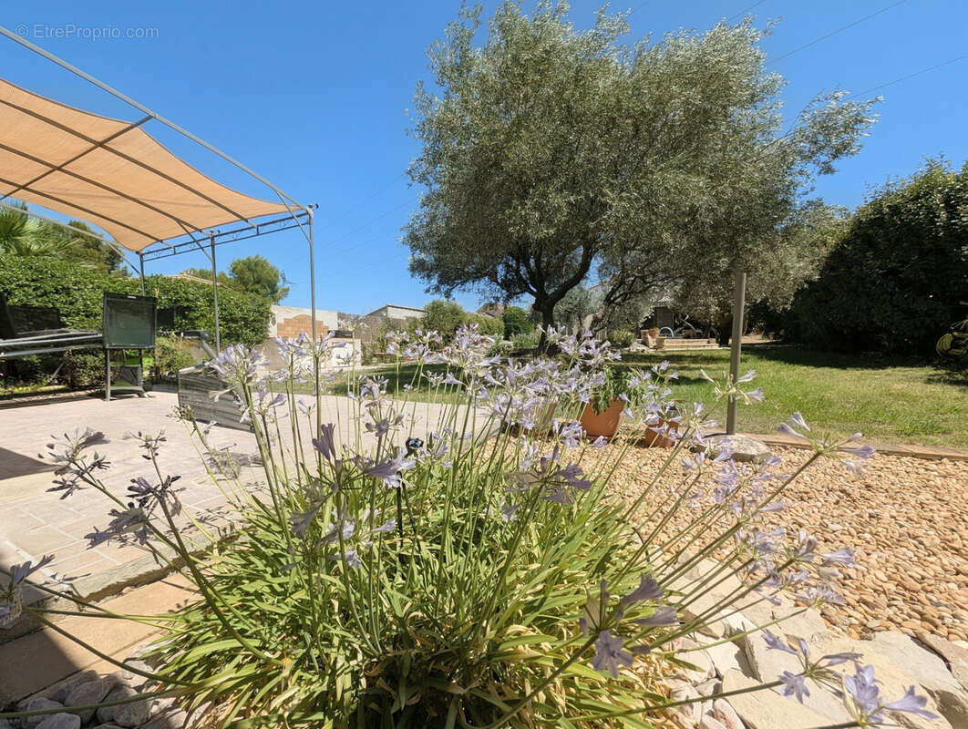 Villetelle   Élégante villa de plain-pied rénovée avec piscine et magnifique terrain arboré de plus de 1 000 m - photo 5