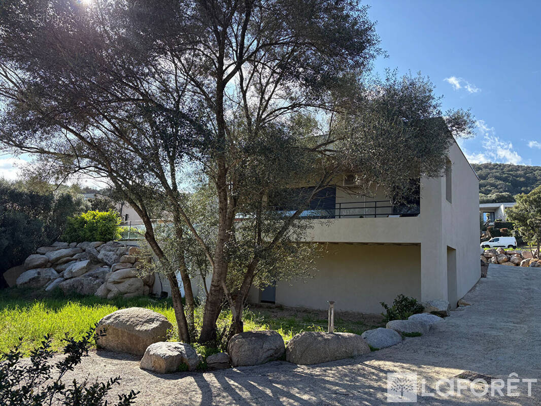 Appartement à ZONZA