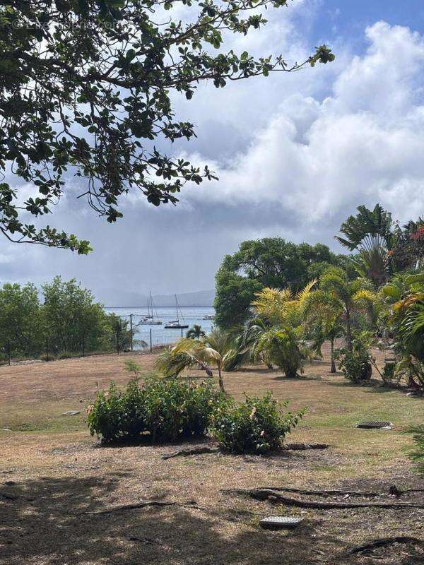 A VENDRE : Studio 20m² à Sainte-Anne (97227) - photo 13