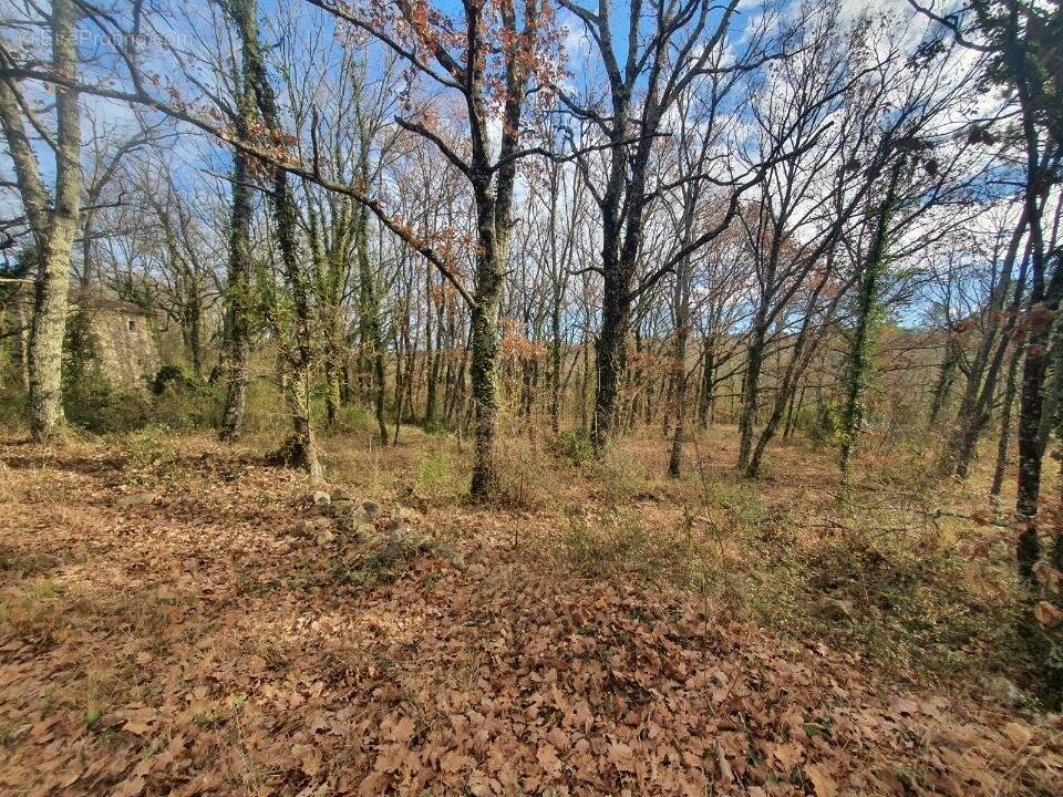 Terrain à CHAMBONAS