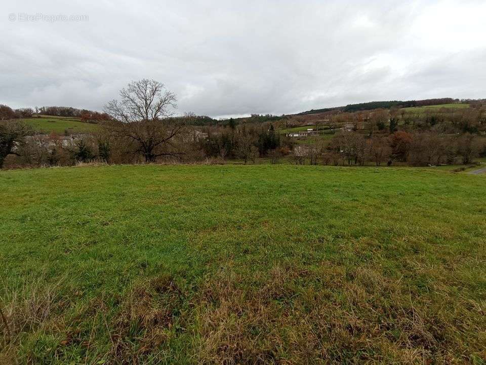 Terrain à FERRIERES-SUR-SICHON