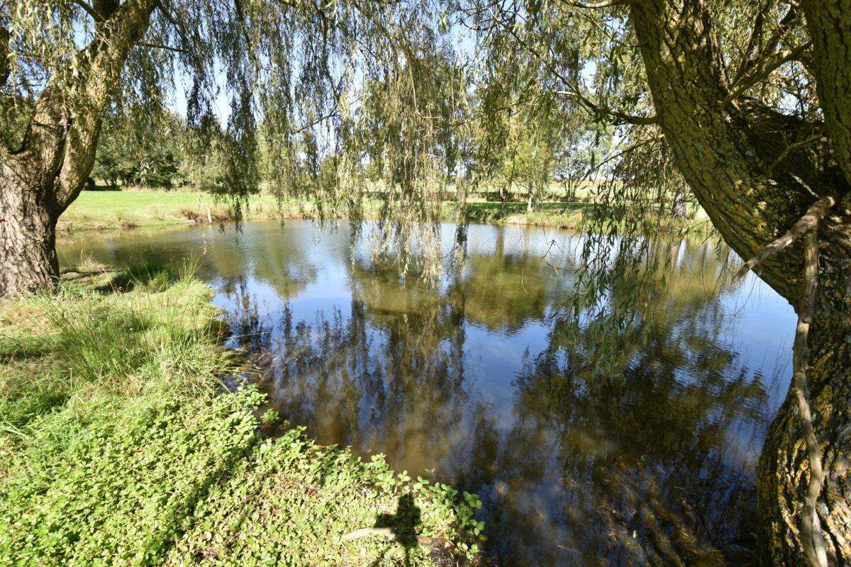 Terrain de loisir avec étang sur 2 ha - photo 2