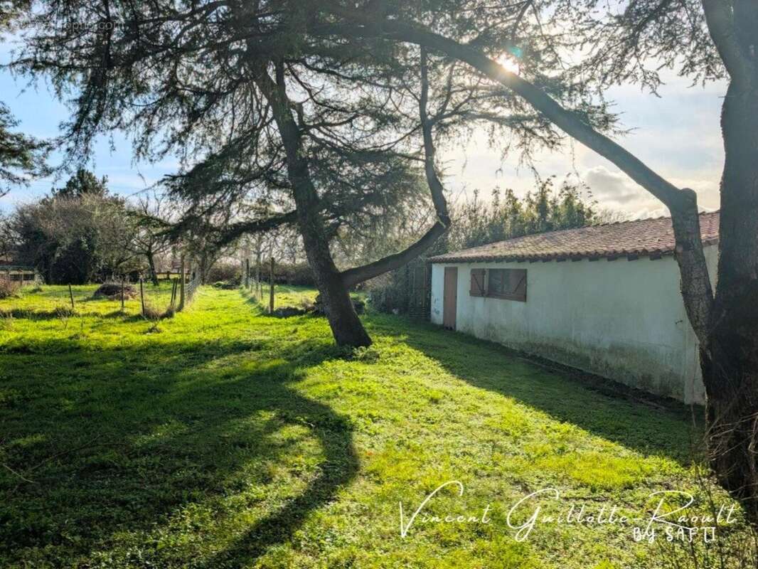 Photo 9 - Maison à BRAINS