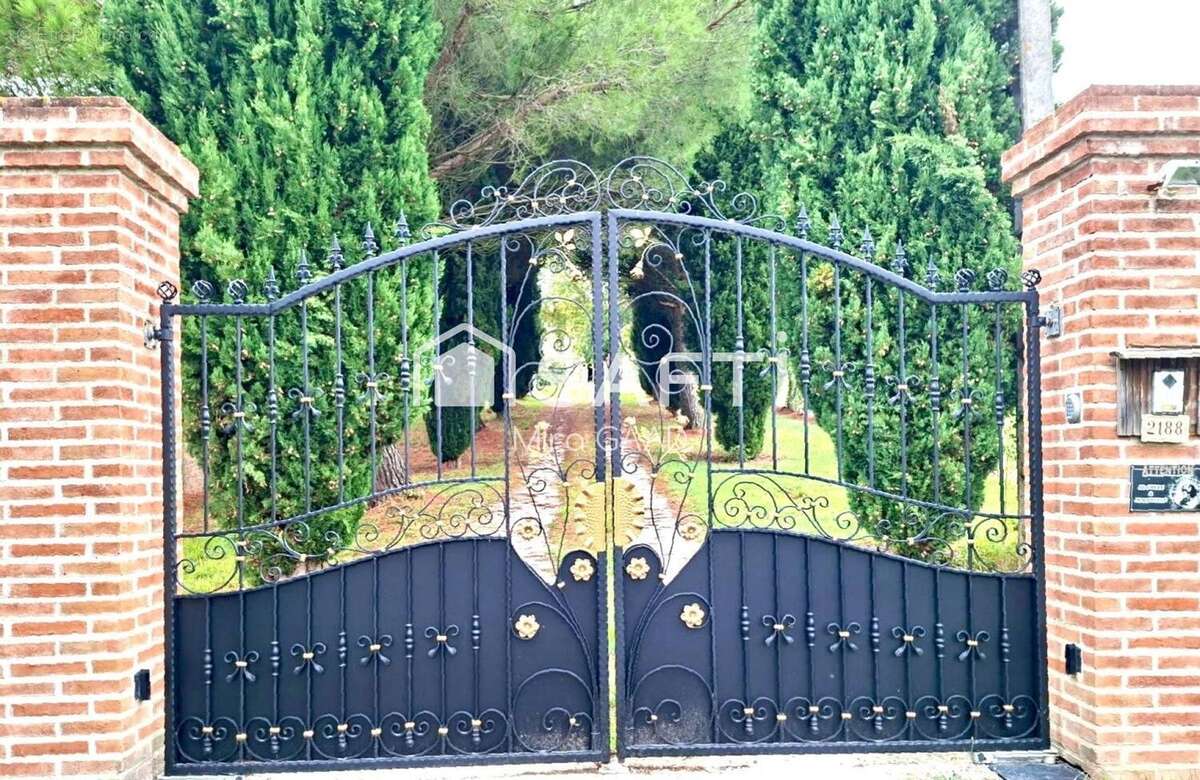 Photo 6 - Maison à GAILLAC