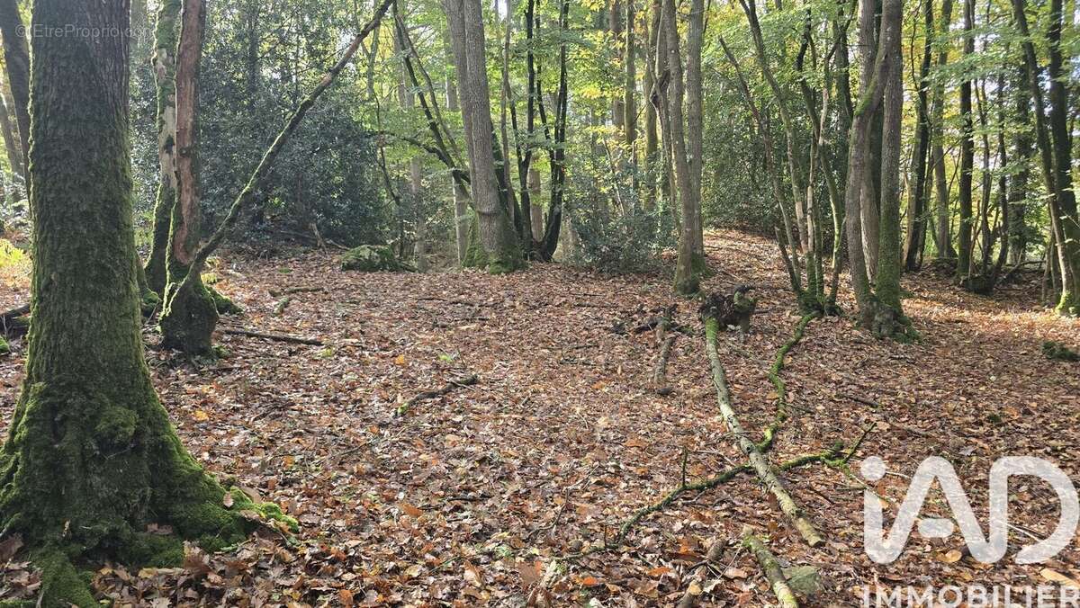 Photo 6 - Terrain à VIEUX-VY-SUR-COUESNON