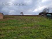 Terrain à BOUXIERES-AUX-CHENES
