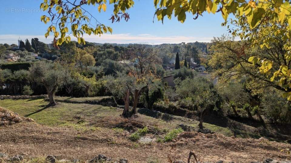 Terrain à ROQUEFORT-LES-PINS