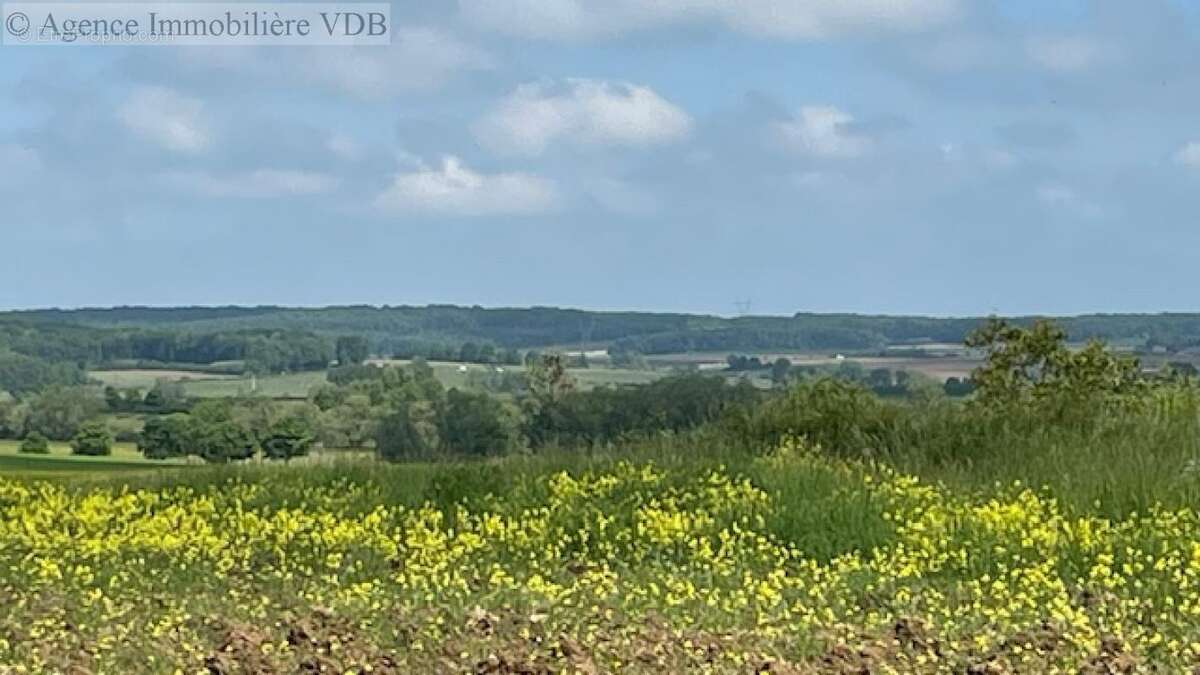 Terrain à HARAUCOURT