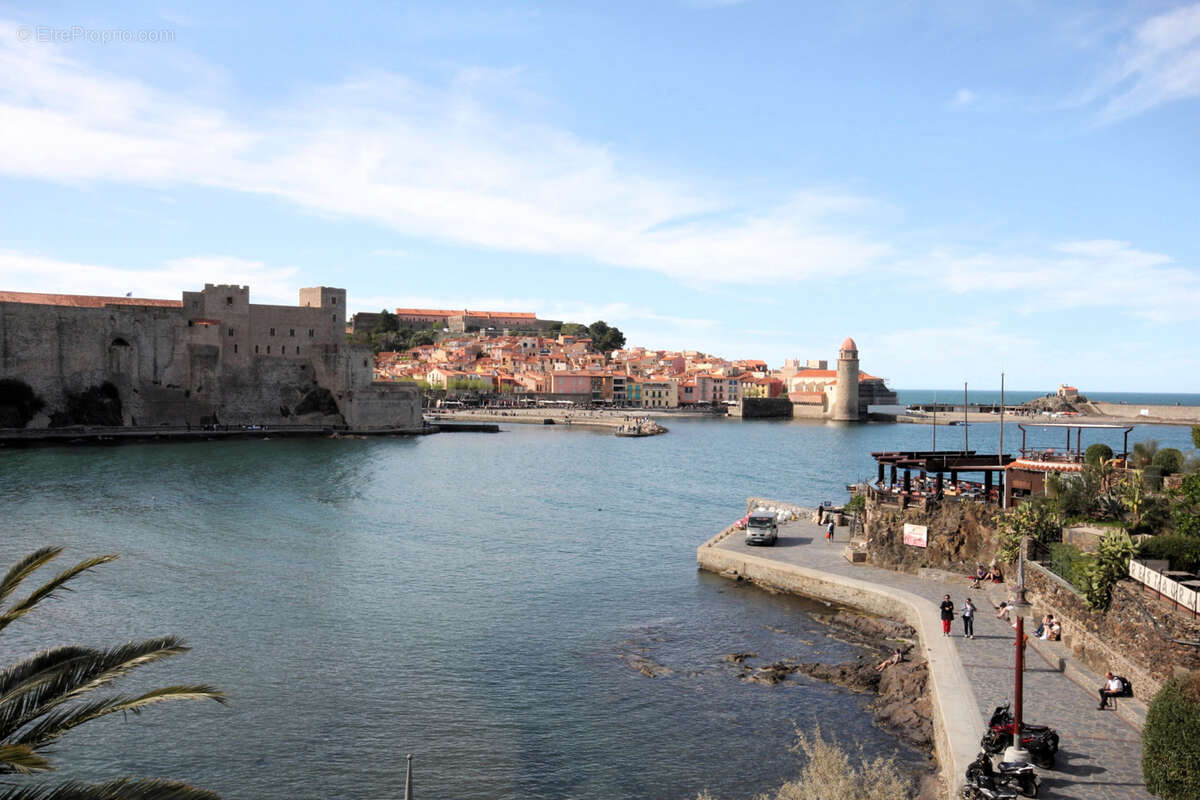 Commerce à COLLIOURE