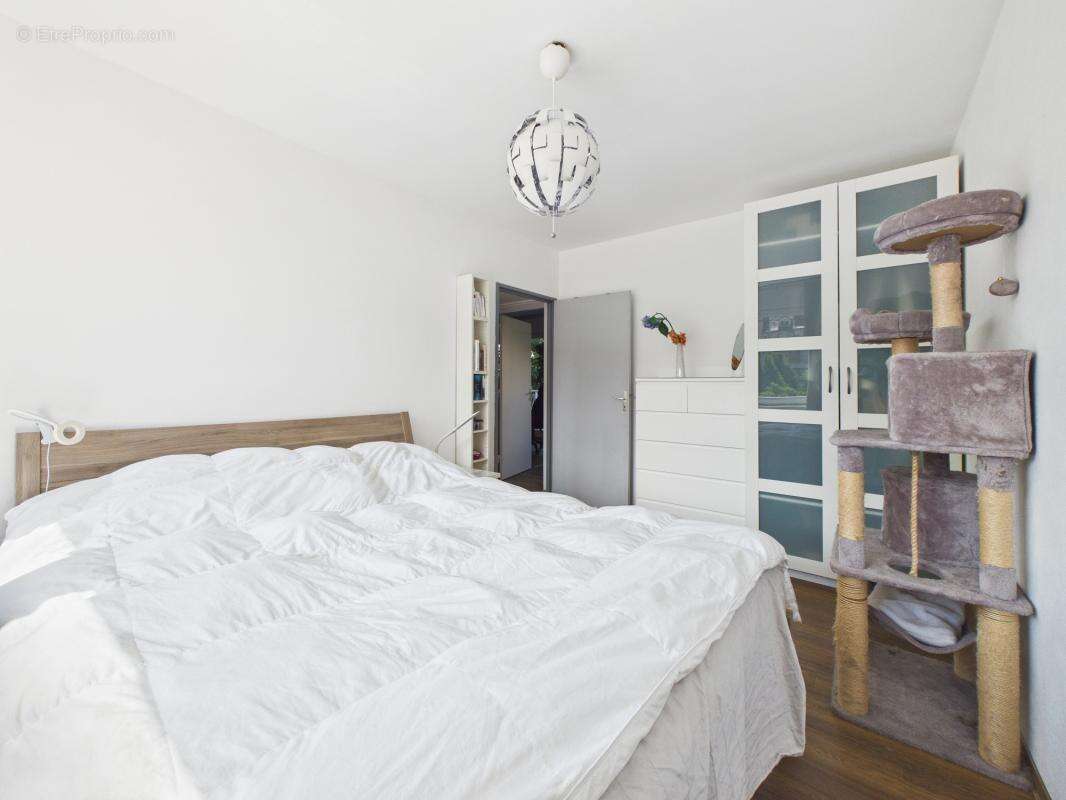 Rue de Bale - 4 pièces - 73m²- Coeur du Neudorf - Cave - Terrasse - photo 16