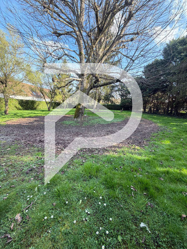 Appartement à DAMMARTIN-EN-GOELE