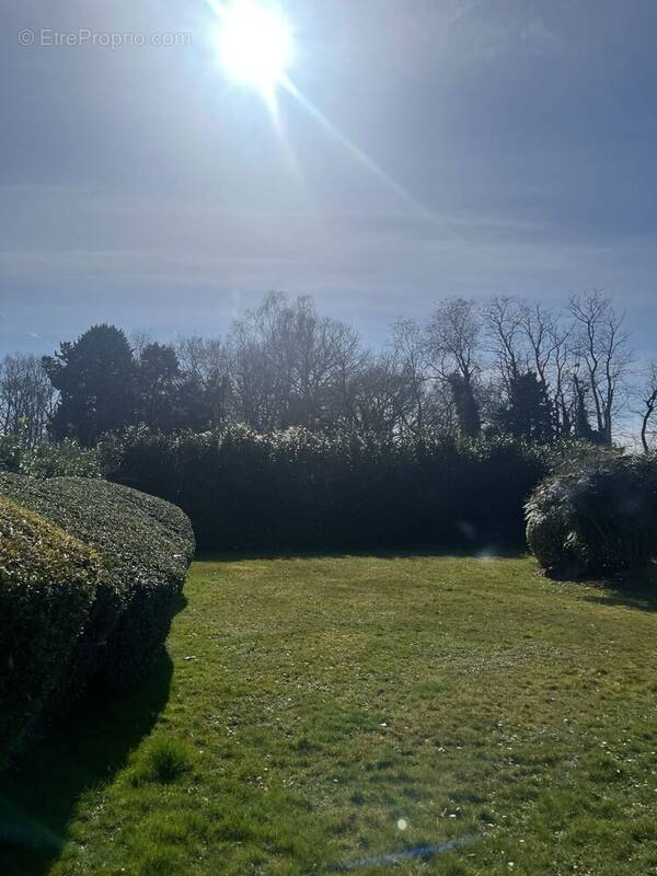Terrain à SAINT-VRAIN