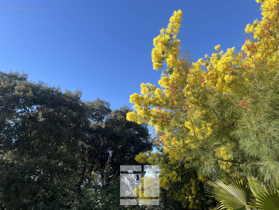 Appartement à GROSSETO-PRUGNA