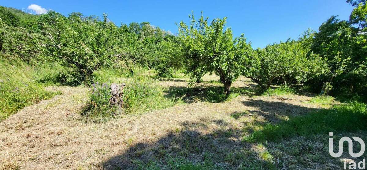 Photo 7 - Maison à SAINT-LAURENT-DE-CERDANS