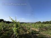 Maison à PUY-D'ARNAC