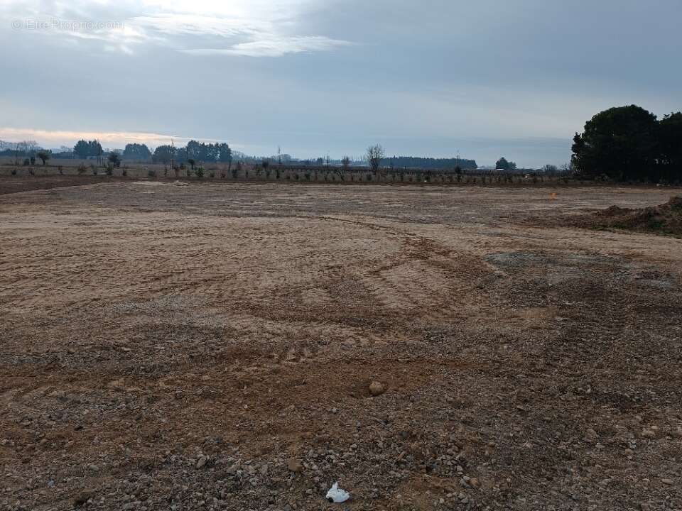 Terrain à MARSILLARGUES