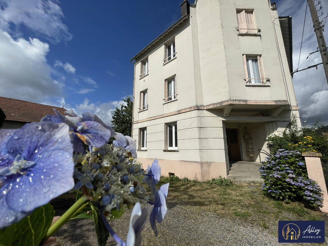 Immeuble 6 appartements RIOM-ES-MONTAGNES  - Appartement à RIOM-ES-MONTAGNES