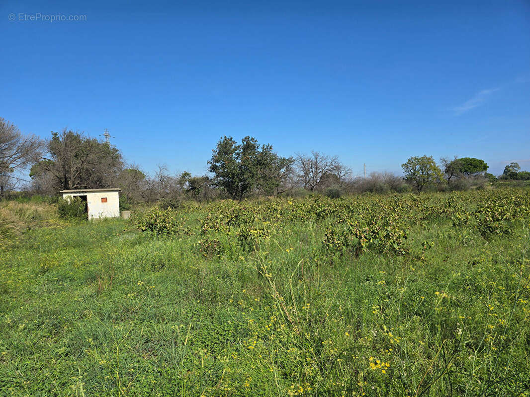 Terrain à ARGELES-SUR-MER