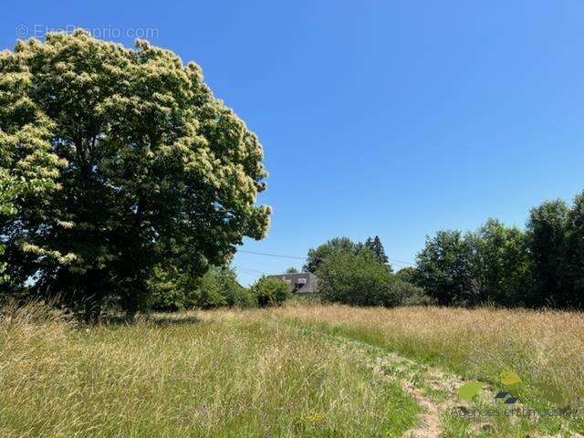 Maison à SAINT-SALVADOUR